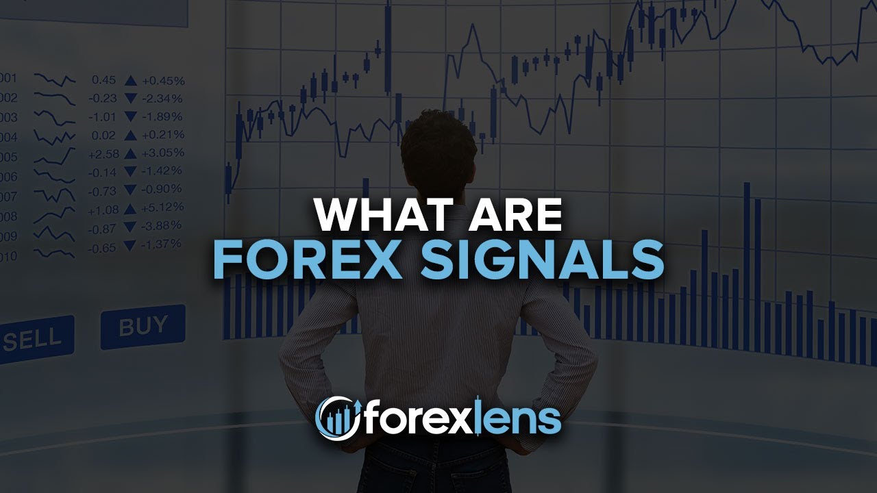 What are Forex Signals?